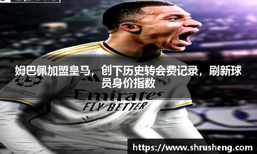B体育bsports