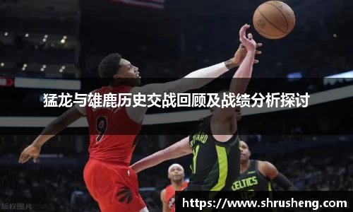 bsports官网入口