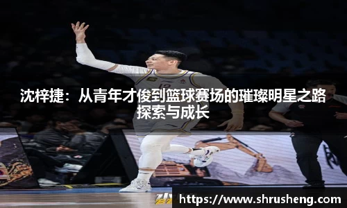 bsports官网入口