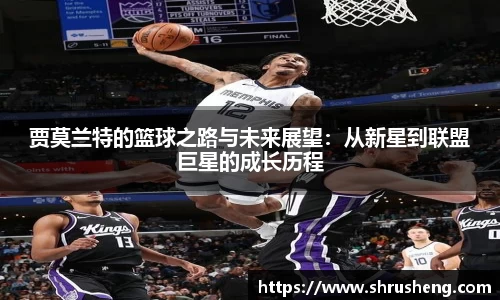 B体育bsports