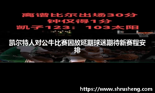 凯尔特人对公牛比赛因故延期球迷期待新赛程安排