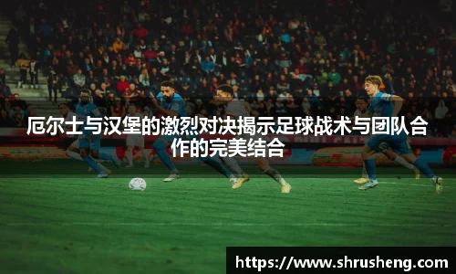 B体育bsports