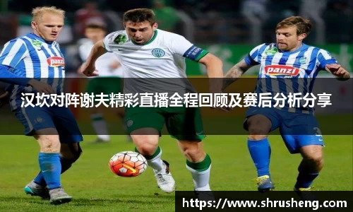 bsports官网入口