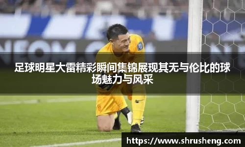 B体育官网