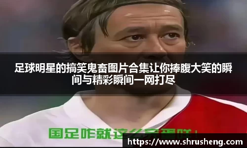 bsports官网入口